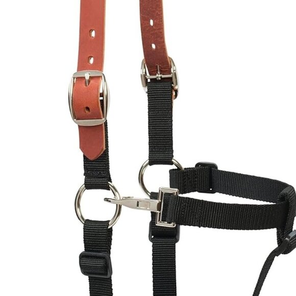 Weaver Leather 65-2345 Grazing Muzzle, Average, Black Medium - Picture 6 of 11